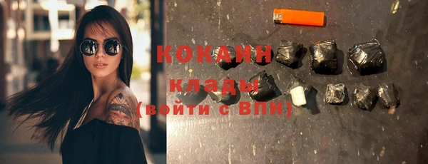 гашик Карпинск