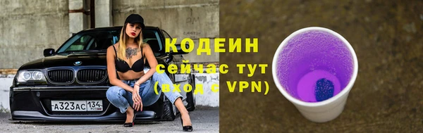 гашик Карпинск
