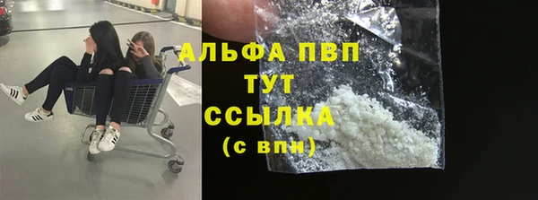 гашик Карпинск