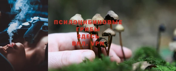 крисы Карталы