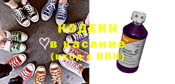 гашик Карпинск