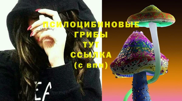крисы Карталы