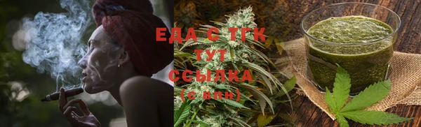 гашик Карпинск