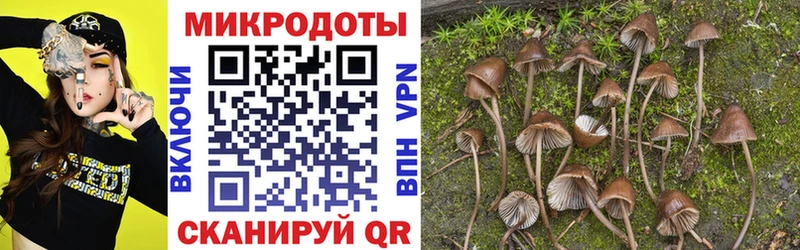 Купить закладки  Большой Камень  Псилоцибиновые грибы GOLDEN TEACHER 